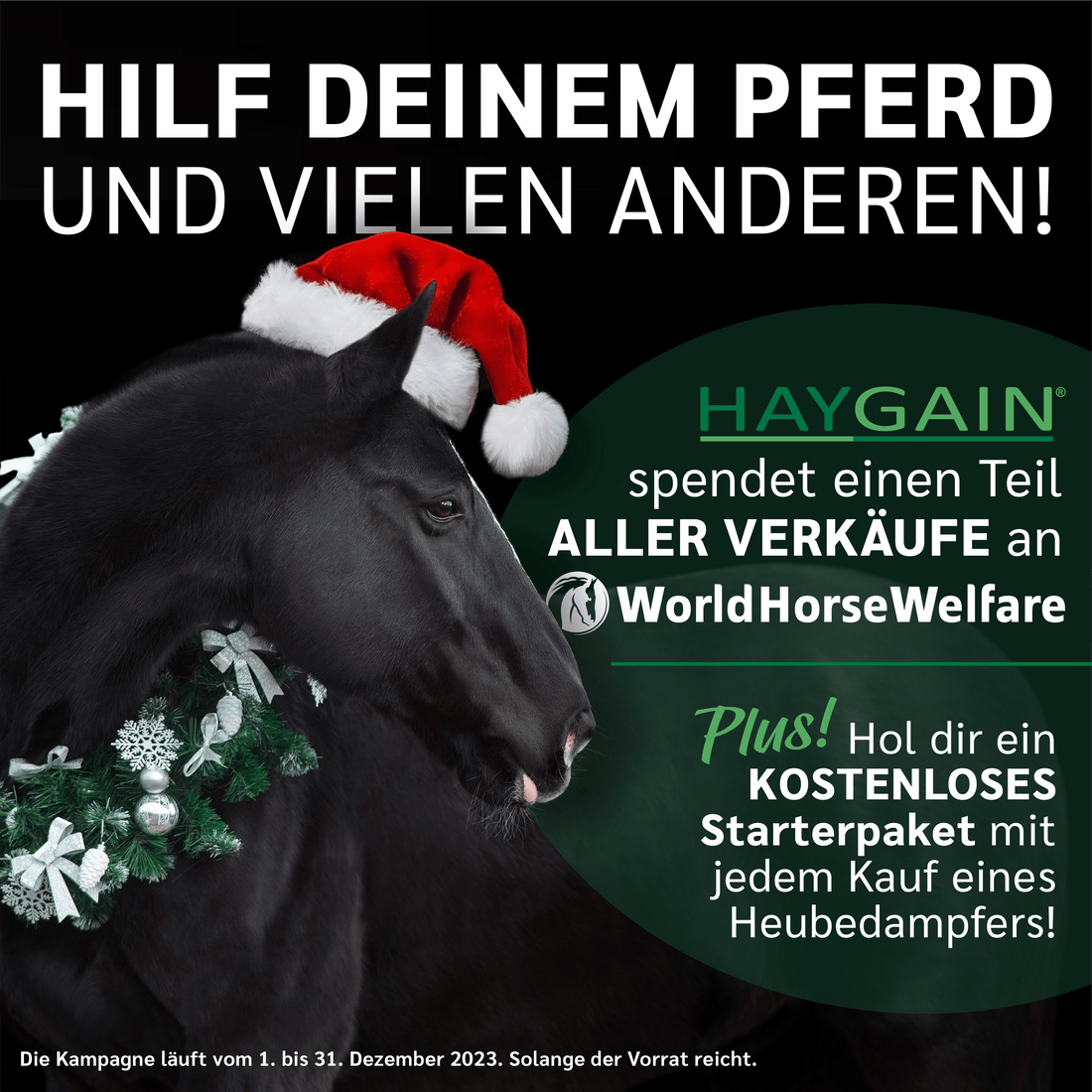 Haygain Bestellungen unterstützen World Horse Welfare während des gesamten Dezembers.